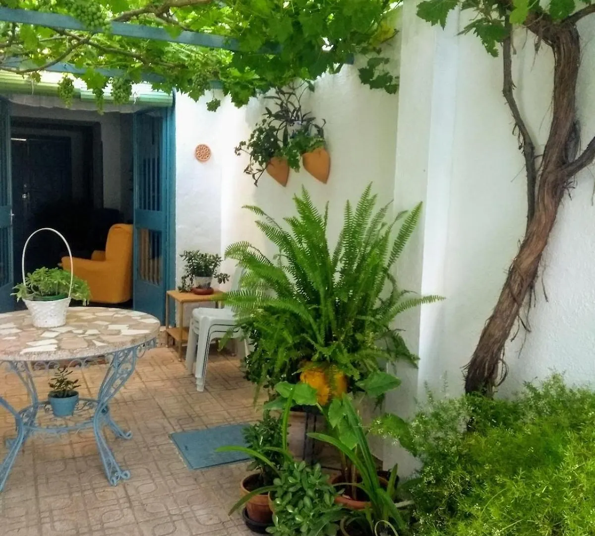 La Casa Azul -Mancha Real, Jaen, Ubeda, Baeza- Villa Holiday home